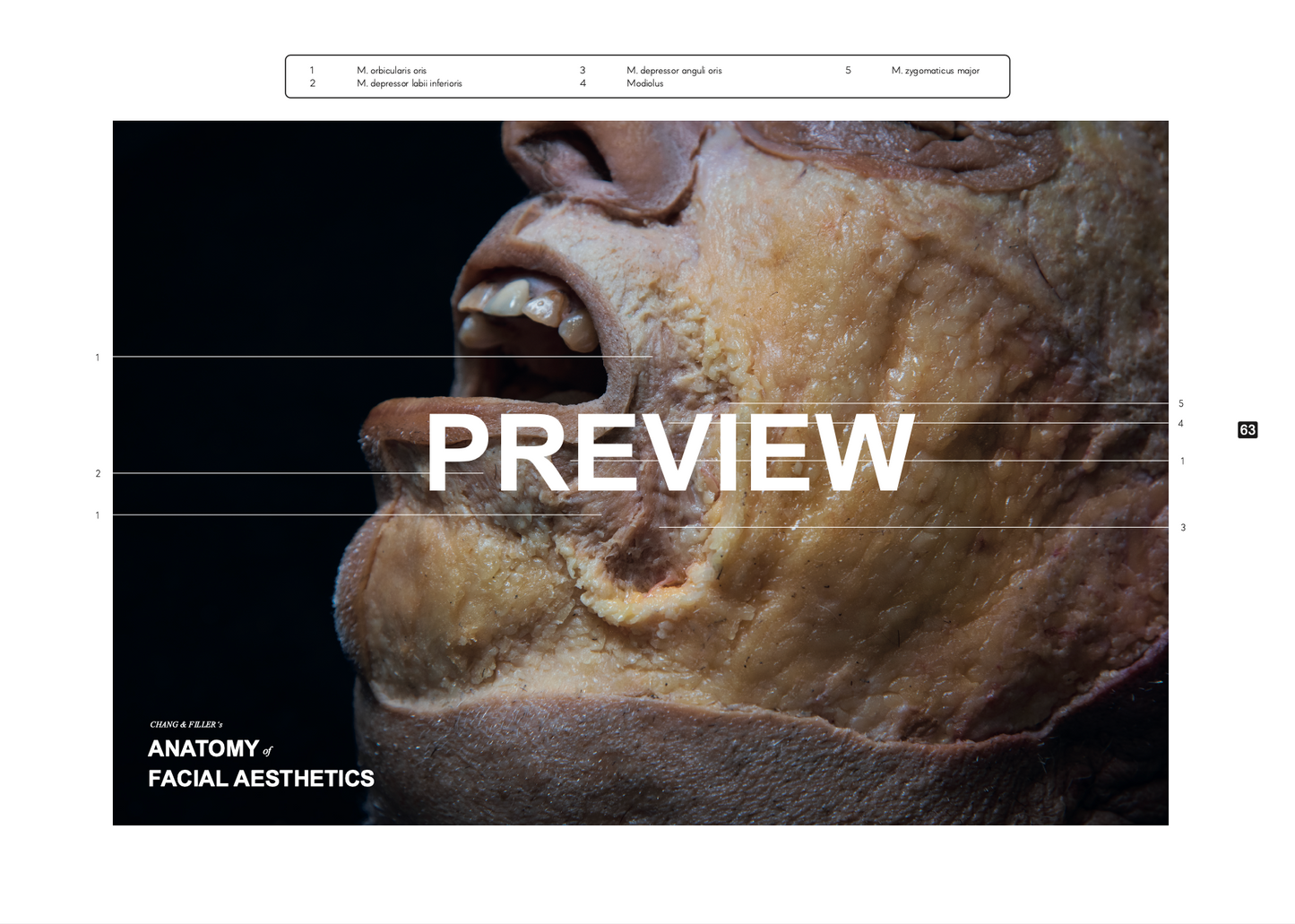 Chang & Filler's Anatomy of facial aesthetics