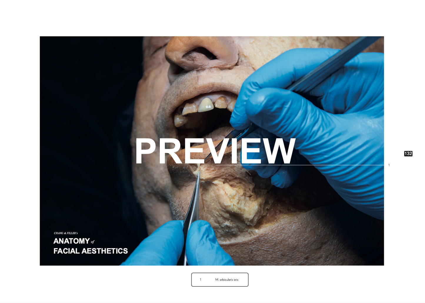 Chang & Filler's Anatomy of facial aesthetics