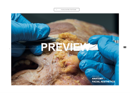 Chang & Filler's Anatomy of facial aesthetics
